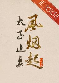 太子追妻难